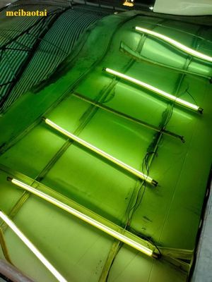 Καλή τιμή Πράσινο καθρέφτη χρωματικό φύλλο Pvd επίστρωση διακόσμηση Πλάκα από ανοξείδωτο χάλυβα σε απευθείας σύνδεση