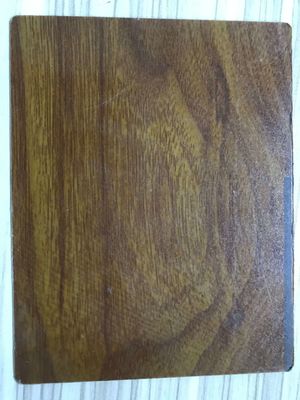 304 βαθμός πυρόσβεση υδροσβεστική διακοσμητική φύλλα από ανοξείδωτο χάλυβα για τοίχους