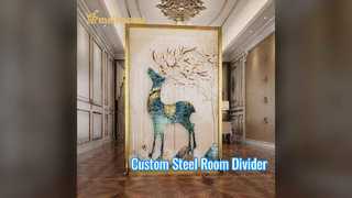 Τρισδιάστατο τυπωμένο ατσάλινο διαχωριστικό δωματίου